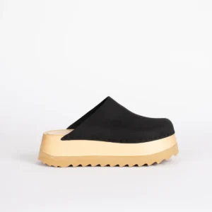 Modern Platform Mule
